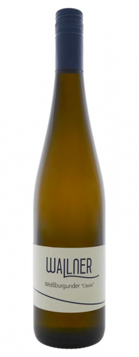 Flasche Weißburgunder